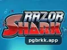 pgbrkk